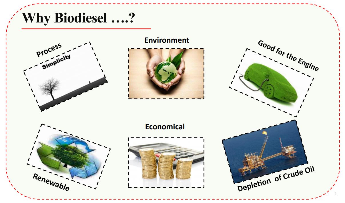 A REVIEW ON BIODIESEL FEEDSTOCKS AND PRODUCTION TECHNOLOGIES | Journal of  the Chilean Chemical Society